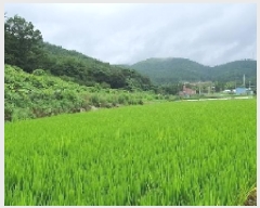  2025Ÿ��277  ����