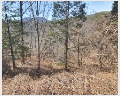  2025Ÿ��20013 �泲 â���� ���������� ���ϸ� �ݻ긮 465     ����(��)���