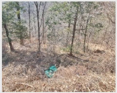  2025Ÿ��20013 �泲 â���� ���������� ���ϸ� �ݻ긮 465     ����(��)���