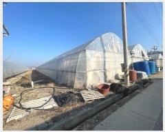  2025Ÿ��20068  ����