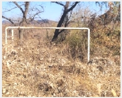  2025Ÿ��20112 �泲 �Ծȱ� ���ϸ� �߾ϸ� 159-11      ����(����)���