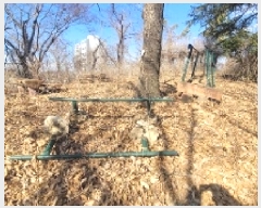  2025Ÿ��20112 �泲 �Ծȱ� ���ϸ� �߾ϸ� 159-11      ����(����)���