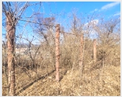  2025Ÿ��20112 �泲 �Ծȱ� ���ϸ� �߾ϸ� 159-11      ����(����)���