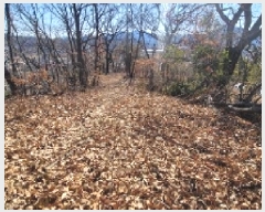  2025Ÿ��20112 �泲 �Ծȱ� ���ϸ� �߾ϸ� 159-11      ����(����)���