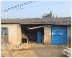  2025Ÿ��20211 �泲 �Ծȱ� ���θ� �� 302-1      ����(����)���