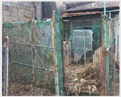  2025Ÿ��20211 �泲 �Ծȱ� ���θ� �� 302-1      ����(����)���