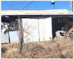  2025Ÿ20310 泲 Ծȱ  򸲸 620-11      ð