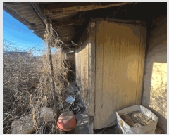  2025Ÿ20310 泲 Ծȱ  򸲸 620-11      ð