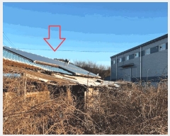  2025Ÿ20310 泲 Ծȱ  򸲸 620-11      ð