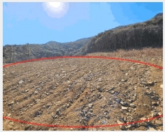  2025Ÿ��20353 �泲 �Ծȱ� ���׸� �ּ��� ��139-5      ����(�Ӿ�)���