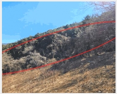  2025Ÿ��20353 �泲 �Ծȱ� ���׸� �ּ��� ��139-5      ����(�Ӿ�)���