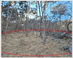  2025Ÿ��20353 �泲 �Ծȱ� ���׸� �ּ��� ��139-5      ����(�Ӿ�)���