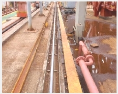  2025Ÿ��20409 �泲 â���� ���������� ������ ��Ƽ�� 116     ����(������)���