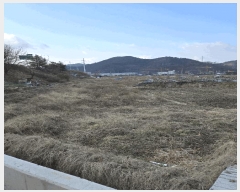  2025Ÿ20433 泲 Ծȱ ĥ  466      ()