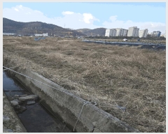  2025Ÿ20433 泲 Ծȱ ĥ  466      ()