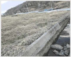  2025Ÿ20433 泲 Ծȱ ĥ  466      ()