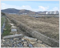  2025Ÿ20433 泲 Ծȱ ĥ  466      ()