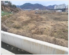  2025Ÿ20433 泲 Ծȱ ĥ  466      ()