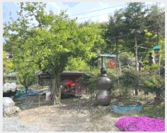  2025Ÿ��20534  �Ӿ߰��