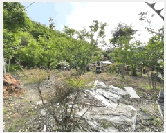  2025Ÿ��20534  �Ӿ߰��