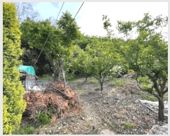  2025Ÿ��20534  �Ӿ߰��