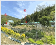  2025Ÿ��20534  �Ӿ߰��