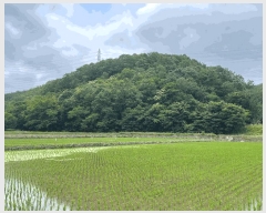  2025Ÿ��20631 �泲 �Ƿɱ� ���Ǹ� õ� ��46      ����(�Ӿ�)���