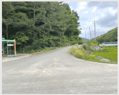  2025Ÿ��20631 �泲 �Ƿɱ� ���Ǹ� õ� ��46      ����(�Ӿ�)���