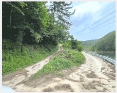  2025Ÿ��20631 �泲 �Ƿɱ� ���Ǹ� õ� ��46      ����(�Ӿ�)���