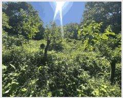  2025Ÿ��20636 �泲 â���� ���������� ������ �ű⸮ 631     ����(��)���