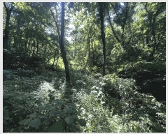  2025Ÿ��20636 �泲 â���� ���������� ������ �ű⸮ 631     ����(��)���