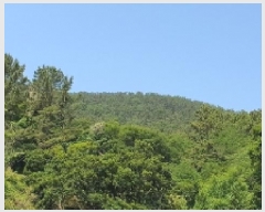  2025Ÿ��20636 �泲 â���� ���������� ������ �ű⸮ 631     ����(��)���