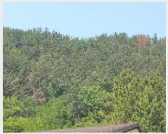  2025Ÿ��20636 �泲 â���� ���������� ������ �ű⸮ 631     ����(��)���