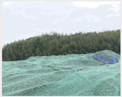  2025Ÿ��20637  ����