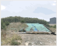  2025Ÿ��20637  ����