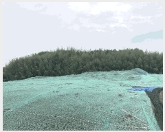  2025Ÿ��20637  ����