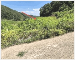  2025Ÿ��20650 �泲 �Ƿɱ� ����� ���� 525      ����(��1)���