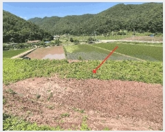  2025Ÿ��20650 �泲 �Ƿɱ� ����� ���� 525      ����(��1)���