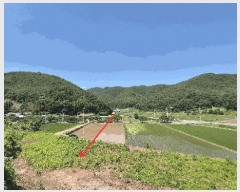  2025Ÿ��20650 �泲 �Ƿɱ� ����� ���� 525      ����(��1)���