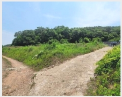  2025Ÿ��20650 �泲 �Ƿɱ� ����� ���� 525      ����(��1)���