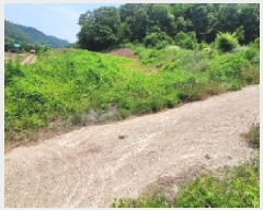  2025Ÿ��20650 �泲 �Ƿɱ� ����� ���� 525      ����(��1)���