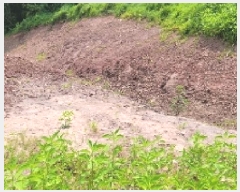  2025Ÿ��20650 �泲 �Ƿɱ� ����� ���� 525      ����(��1)���