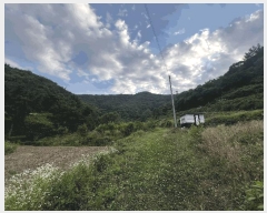  2025Ÿ��20667 �泲 �Ƿɱ� ������ ��� 856      ����(��1)���