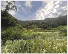  2025Ÿ��20667 �泲 �Ƿɱ� ������ ��� 856      ����(��1)���