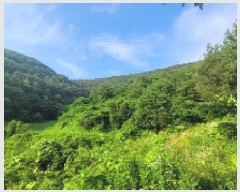  2025Ÿ��20667 �泲 �Ƿɱ� ������ ��� 856      ����(��1)���