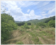  2025Ÿ��20694 �泲 �Ծȱ� ĥ�ϸ� ������ 656-2      ����(��1)���