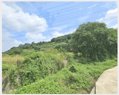  2025Ÿ��20694 �泲 �Ծȱ� ĥ�ϸ� ������ 656-2      ����(��1)���