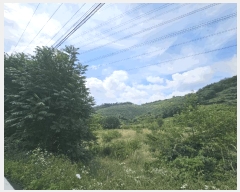  2025Ÿ��20694 �泲 �Ծȱ� ĥ�ϸ� ������ 656-2      ����(��1)���