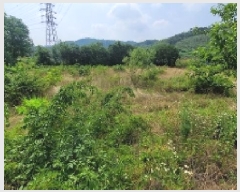  2025Ÿ��20694 �泲 �Ծȱ� ĥ�ϸ� ������ 656-2      ����(��1)���