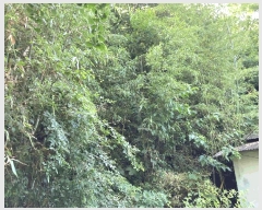  2025Ÿ��20716  ���ð��